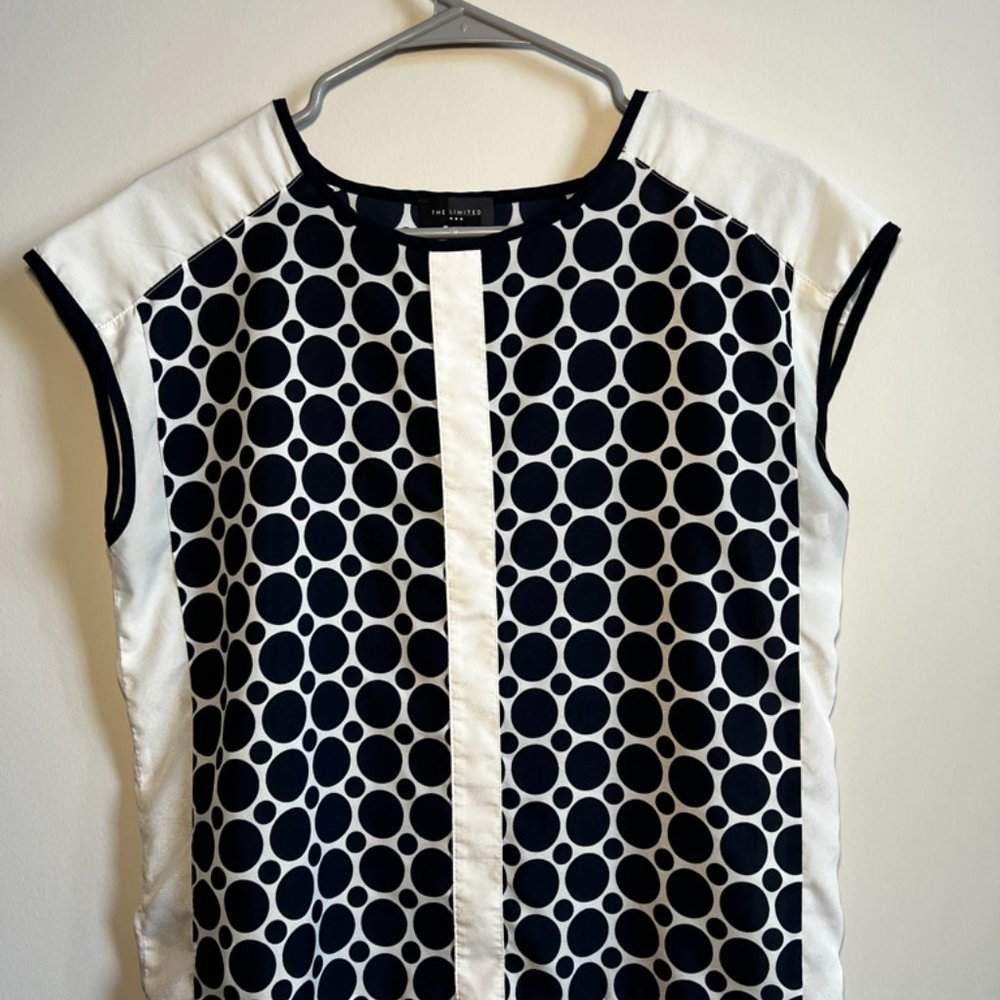 The Limited Blouse